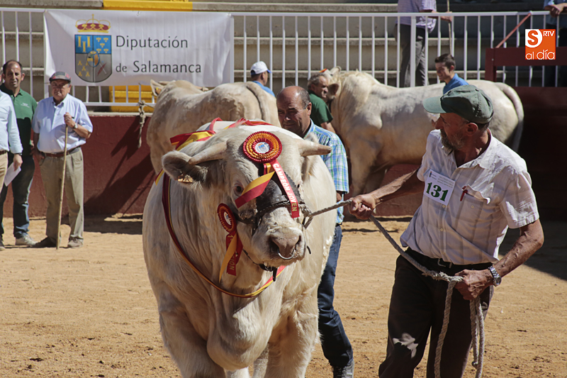 Una subasta de vacuno que no pasará a la historia