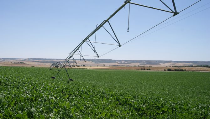 La zona de la Armuña sería de las más perjudicadas por esta medida