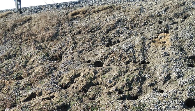 Estado que presentan en algunas zonas los taludes que sostienen las vías ferroviarias