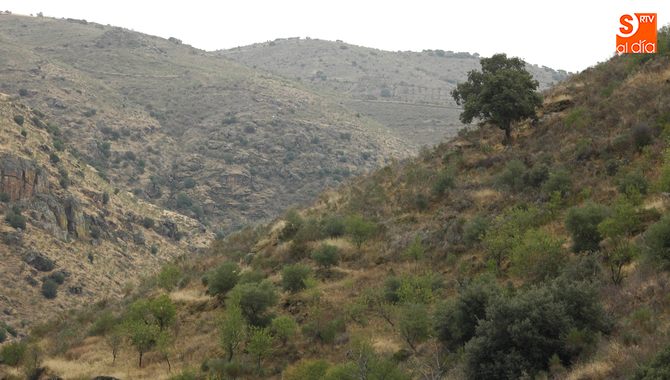 El duro cazadero de La Fregeneda pondrá a prueba la preparación física de los participantes / CORRAL
