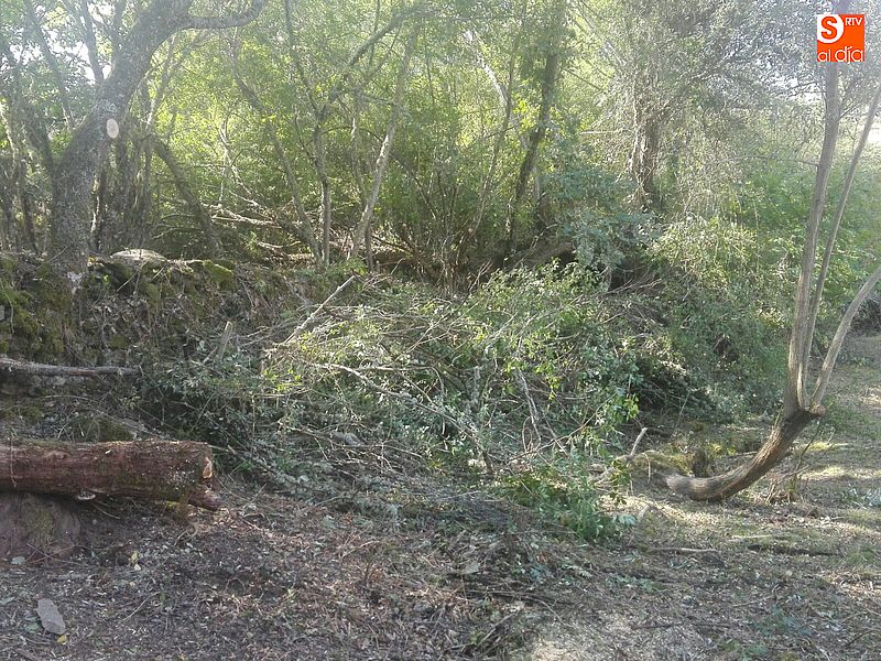 El sendero de Los Molinos de Navarredonda de la Rinconada estará listo en medio año