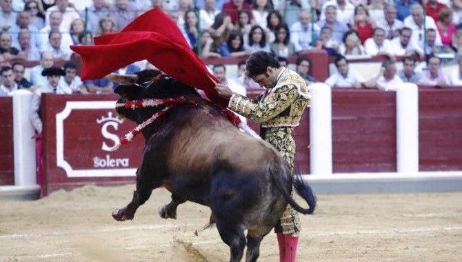 IU Salamanca y Equo denuncian la creación de una cátedra de Estudios de Tauromaquia   