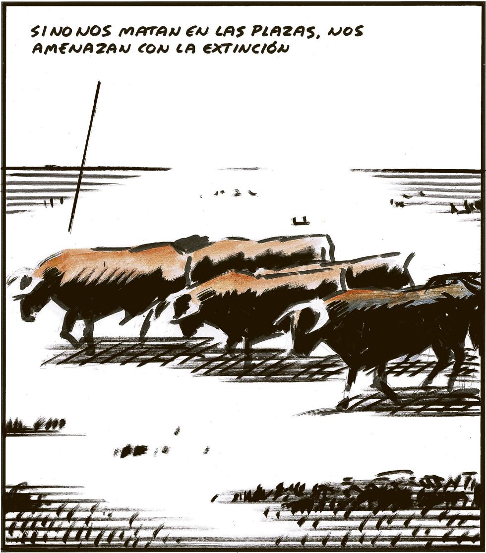  Los toros en el asfalto