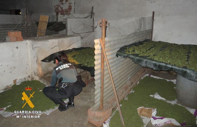 Cuatro detenidos en una operación contra el tráfico de drogas en la comarca de Alba  