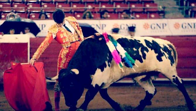 David Salvador en la Monumental Plaza de Toros México / Foto de Edmundo Toca