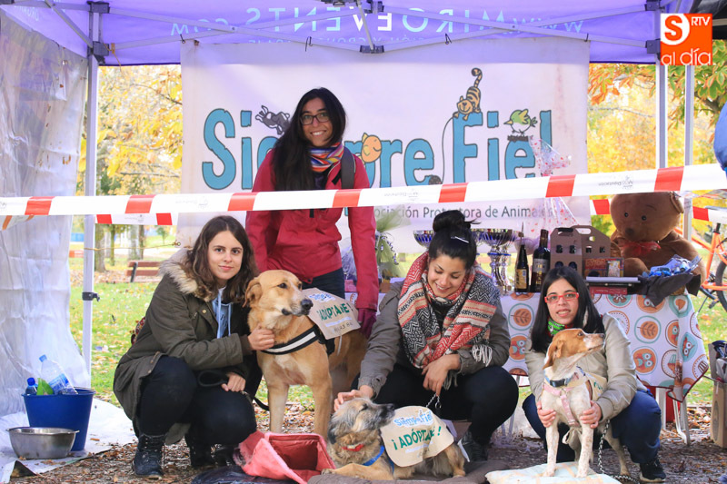 La carrera ’Siempre Fiel 10k Salamanca’ tendrá lugar el 22 de octubre  