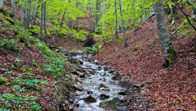 Belleza y tiempo (diálogo entre palabra e imagen)  