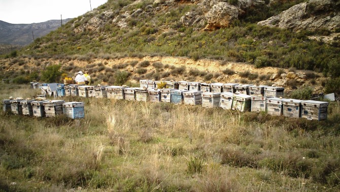 El Tribunal de Justicia de Castilla y León declara nula la ordenanza de San Vitero, en Zamora   