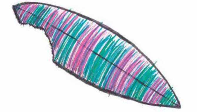 No dejes al tiburón que te arranque los sueños