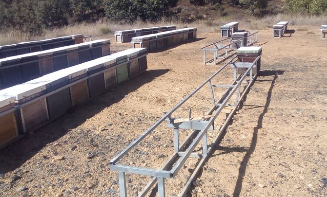 Roban 34 colmenas de un apicultor salmantino en la localidad leonesa de Bembibre   