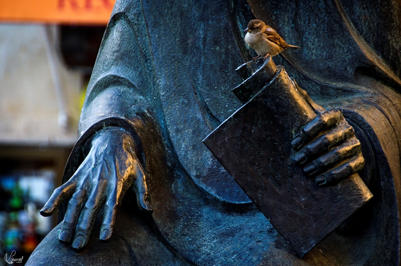 El compositor y su inspiración