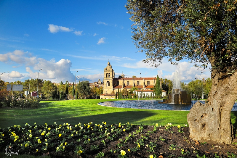 Verde, dorado, azul...