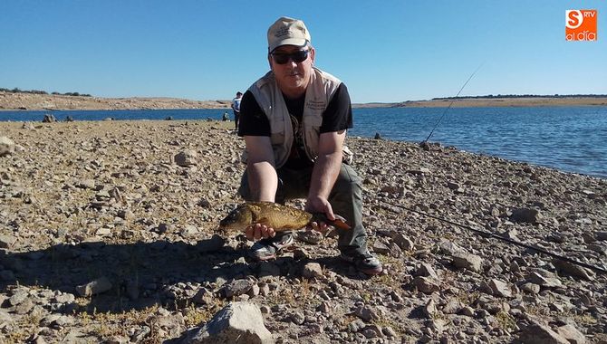 La carpa, después de 2.000 años en la Península, es considerada por los ecologistas como especie exótica invasora / CORRAL