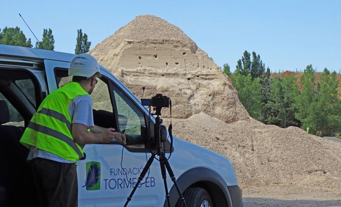 Estudian la creación en la Isla del Soto de nidos artificiales para un ave eficaz como insecticida ...