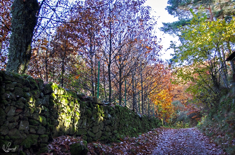 Colores de la naturaleza
