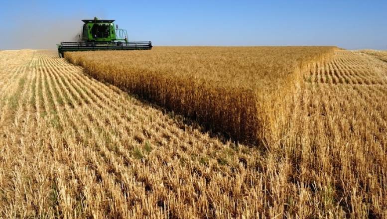 Las consecuencias de la sequía dejan una situación incierta en el campo salmantino