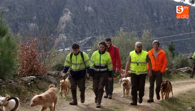 Las rehalas participantes deberán estar federadas y cobrarán 200 euros por cacería