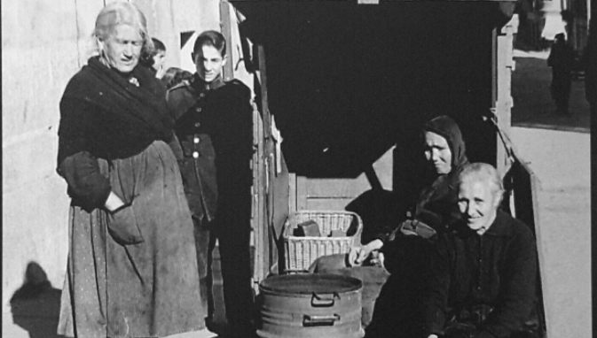 Noviembre, mes de castañas