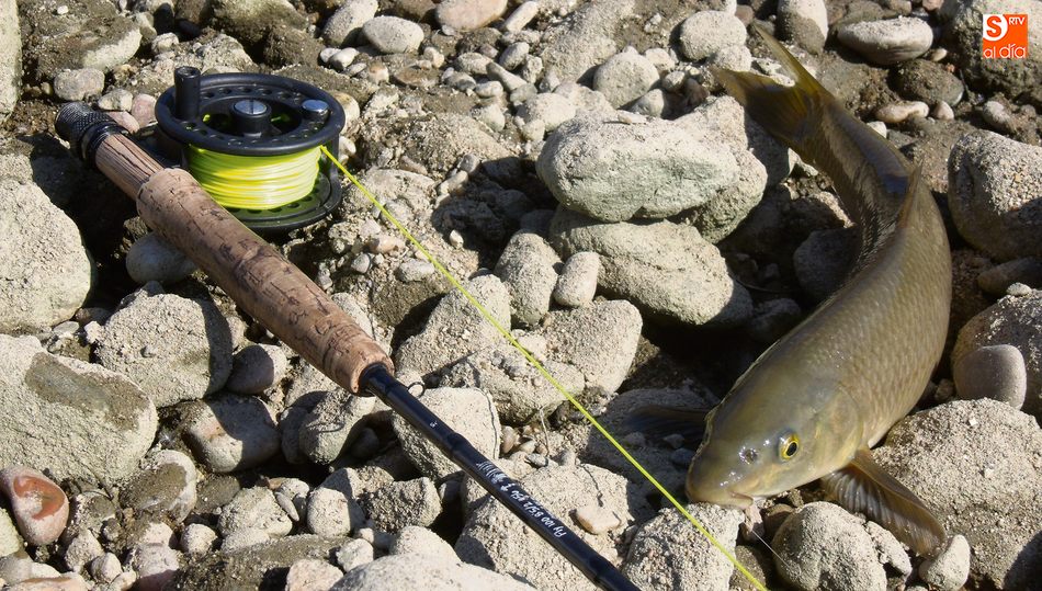 Pescar barbos con cola de rata e imitación de hormigas es una experiencia inolvidable / REP. GRÁFICO: CORRAL