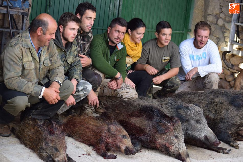 Hasta cinco jabalíes al salto en Lumbrales  