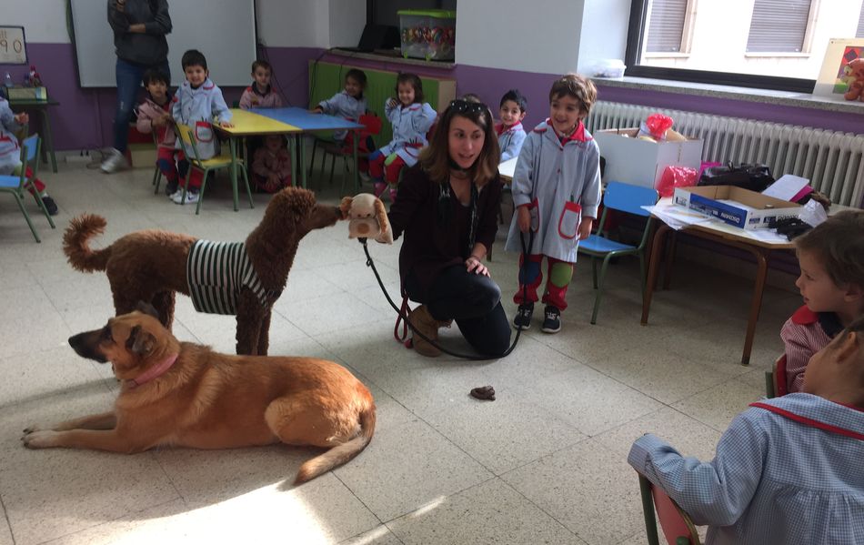 Alumnos de Infantil han aprendido a alimentar y cuidar a sus mascotas