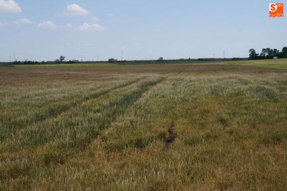 Los cambios unifican la fecha del cumplimiento de varios requisitos