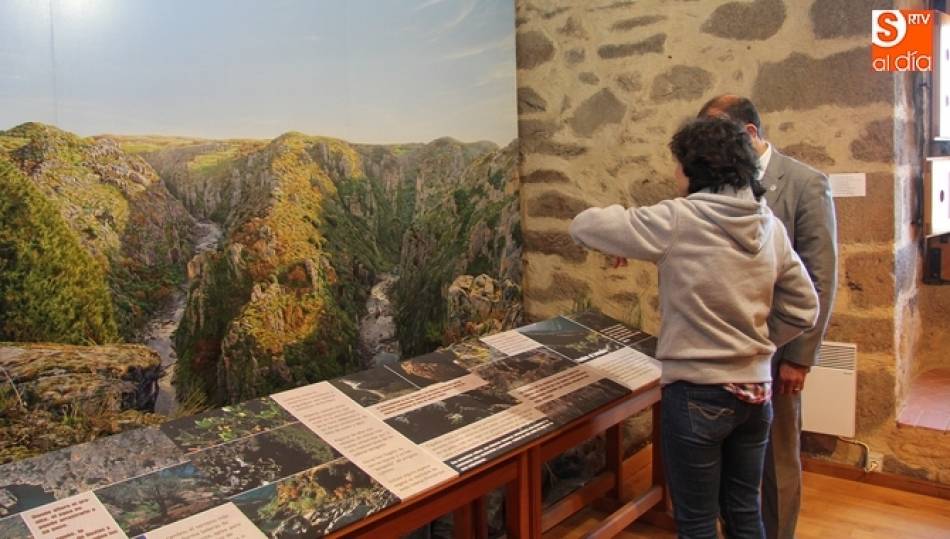 Entre las actividades destacan varias exposiciones y talleres