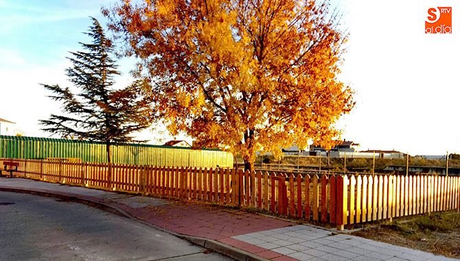 El Taller de Educación Canina se traslada al pipican, en la estación de tren, desde este sábado