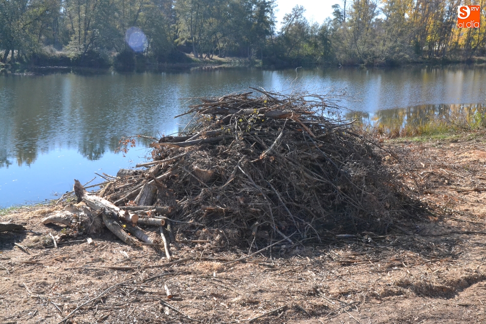 1Foto: Como si fuera a prenderse una hoguera  