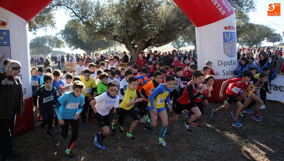 Salida de una de las carreras de los Juegos Escolares que se celebran en Castro Enríquez. Fotos: Corral