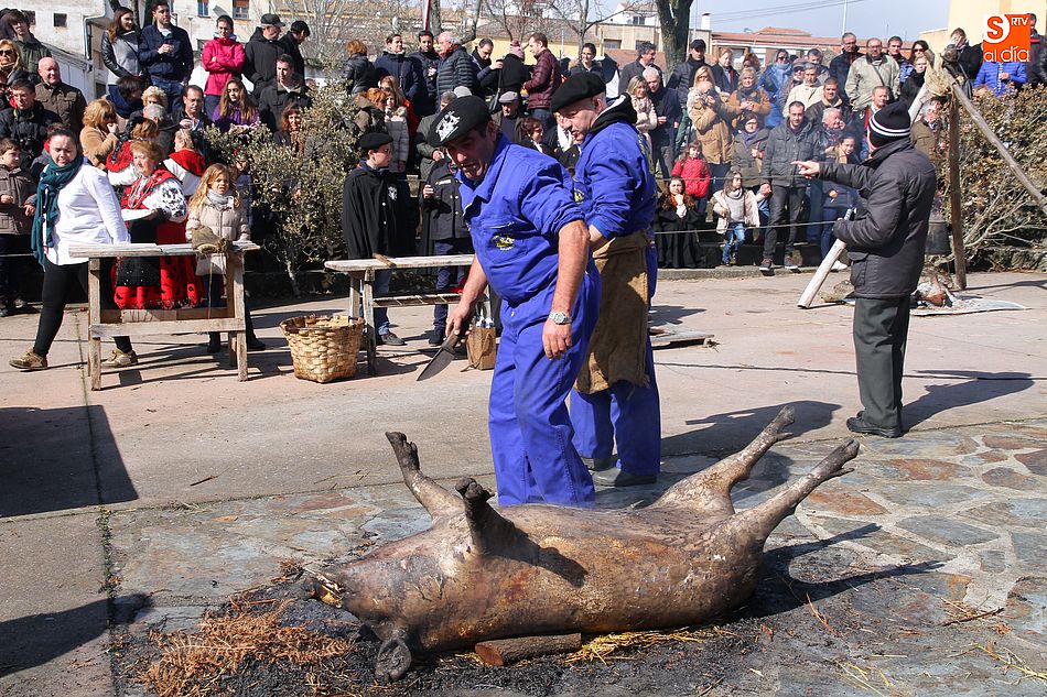 El circuito de matanzas crece en participantes con siete localidades nuevas en el calendario