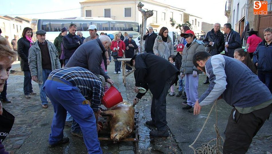 La pimpieza del cuero tras el chamuscado es una de las labores en el proceso de la matanza / CORRAL