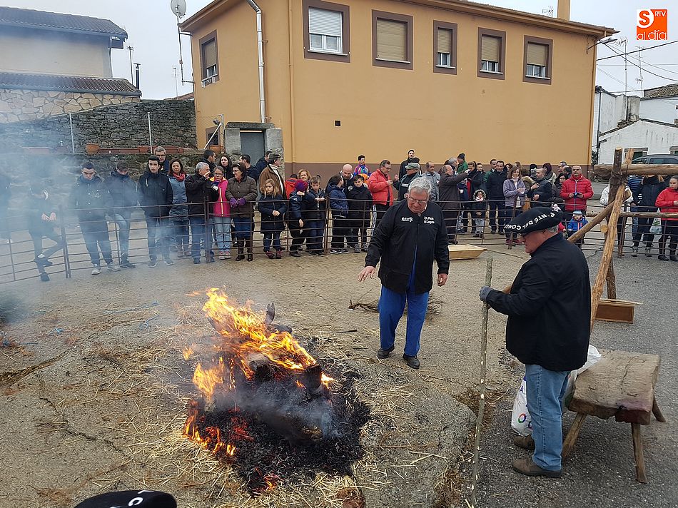 La fiesta de la Matanza Tradicional de Puente del Congosto volvió a ser un éxito de público con cerca de 500 asistentes