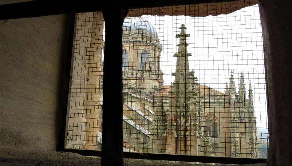 Ventana a la belleza