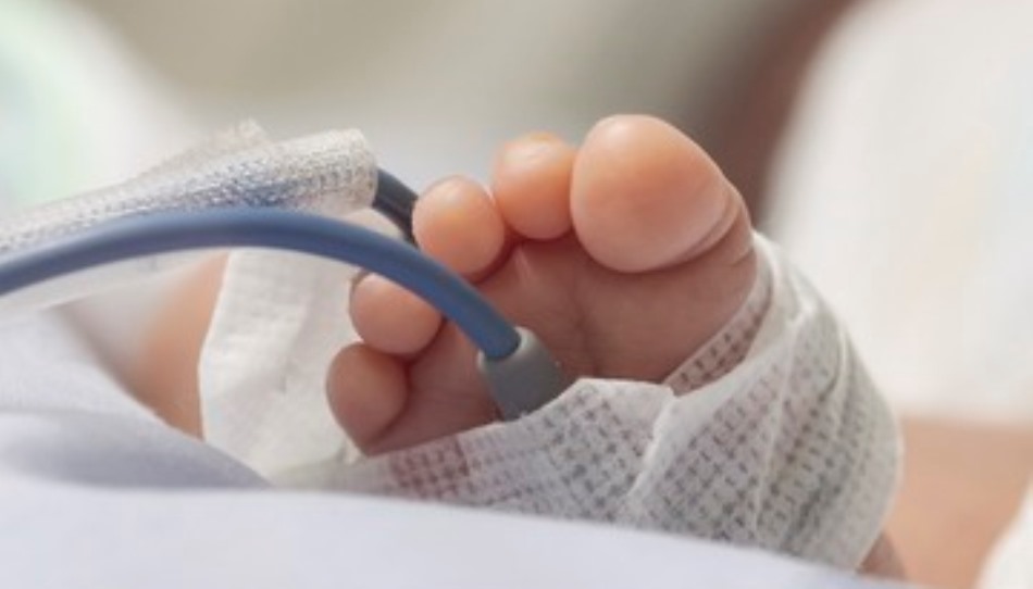 El libro es un relato de supervivencia y superación, la de un bebé de tan sólo 26 semanas, 31 cm y 740 gramos de peso