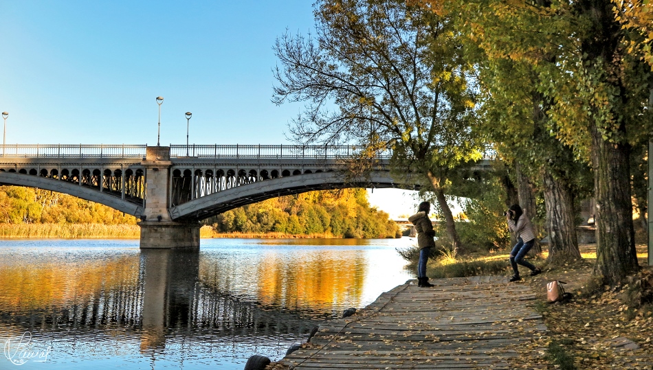 Atrapando un momento