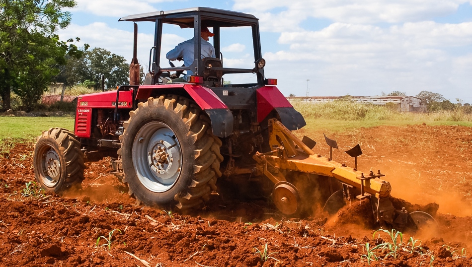 Mal año para la producción de cereales, compensando por el máximo histórico de las hortalizas