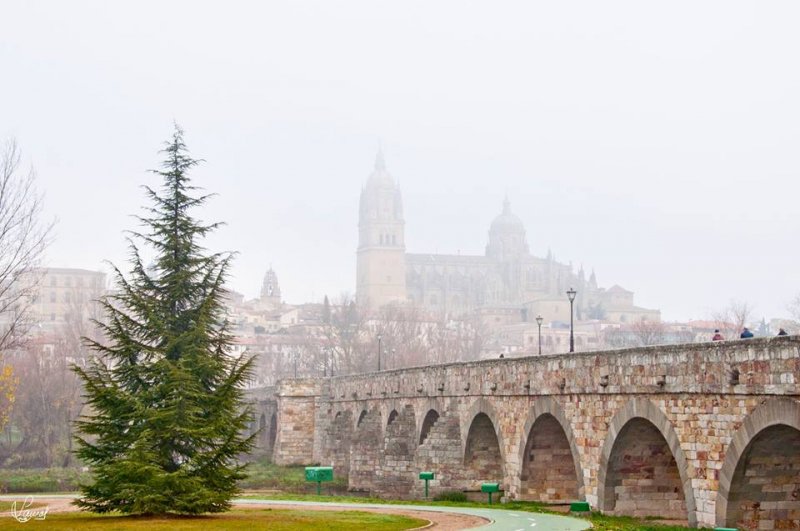 Invierno en Salamanca. Foto: Manuel Lamas