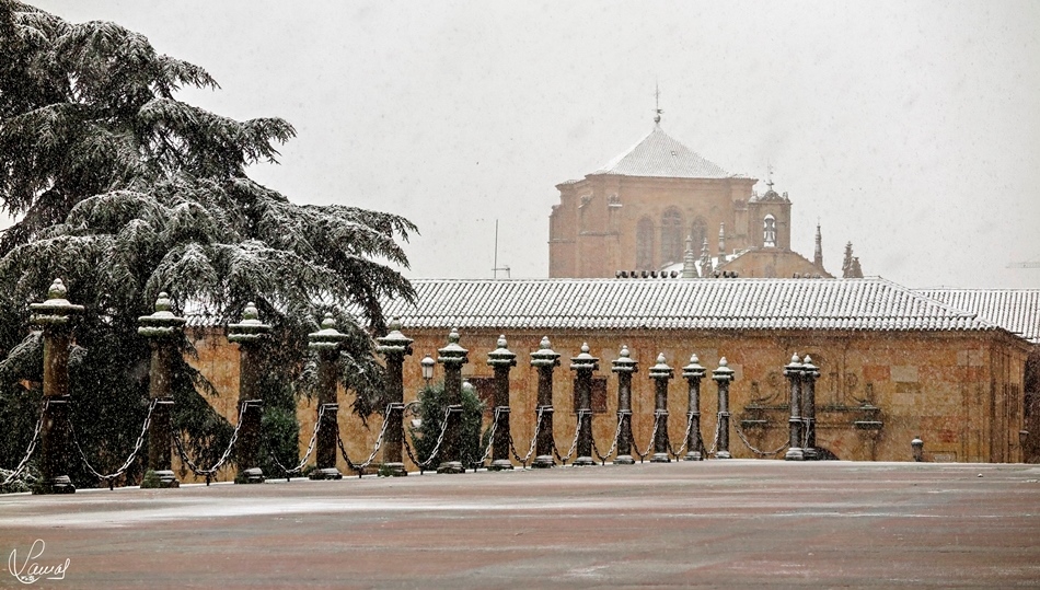 Nieve sobre la plaza de Anaya, junto a la Catedral / Foto de Manuel Lamas