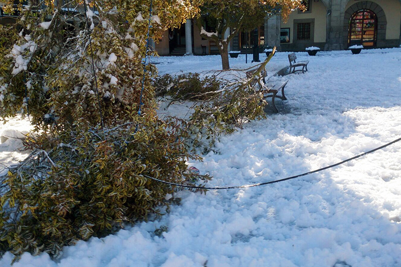 El Partido Popular denuncia la situación que presentaba esta jornada lugares como la Plaza de España, con cables y ramas por el suelo hasta bien entrado el mediodia