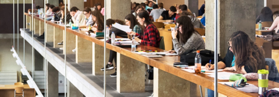 Unos estudiantes, en una de las bibliotecas de la Universidad de Salamanca