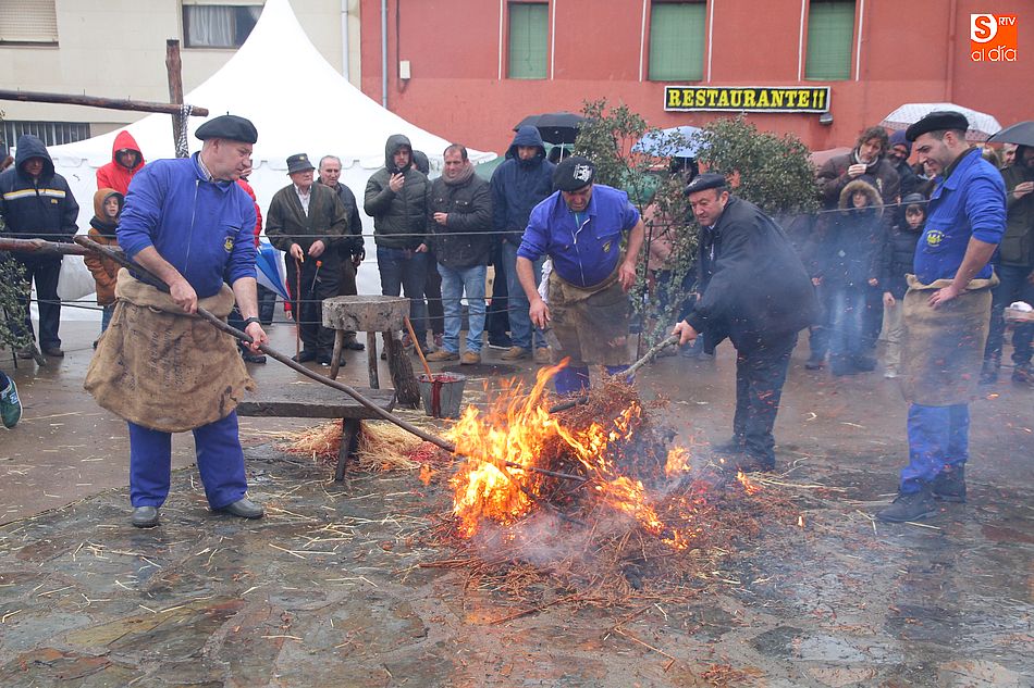 La I Feria Gastronómica de la Matanza se celebrará en la plaza Mayor