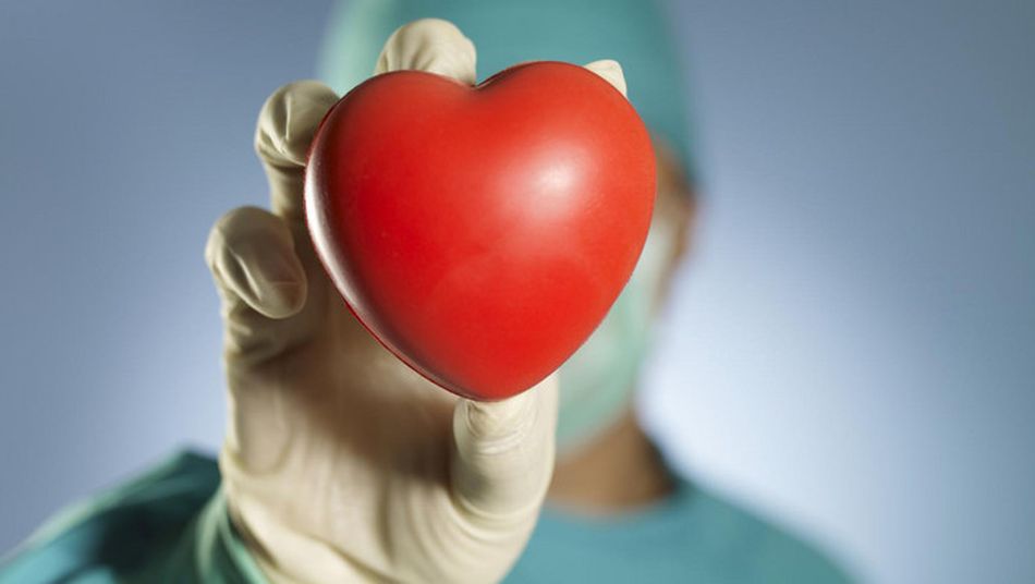 Donaciones y trasplantes en 2017 en España