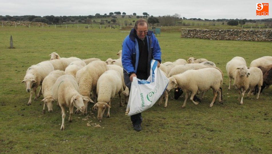 	Ganadero salmantino de la comarca de Vitigudino