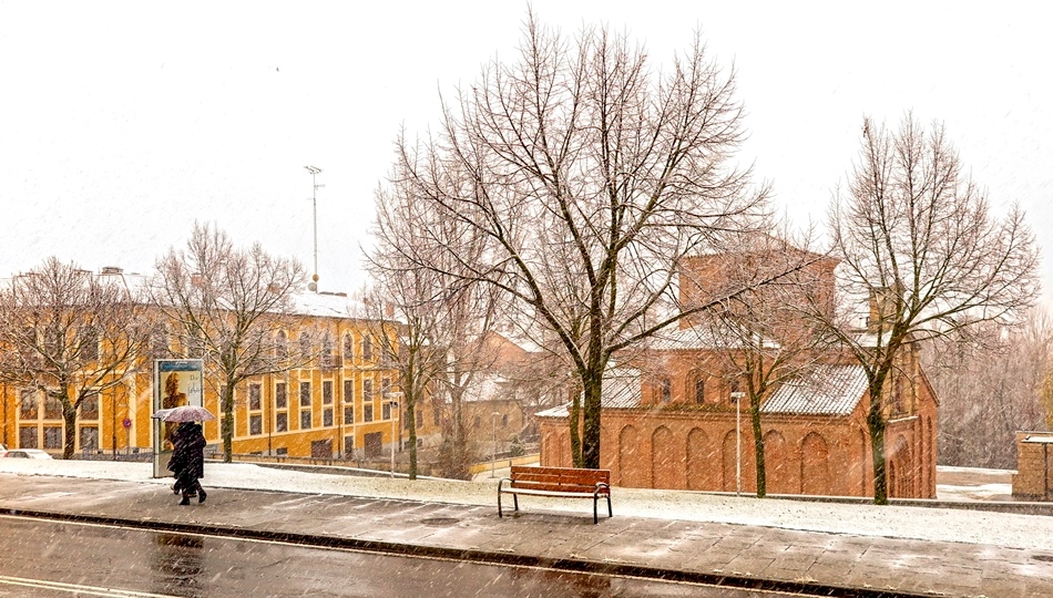 	Precipitaciones en el paseo Rector Esparabé / Foto de Manuel Lamas