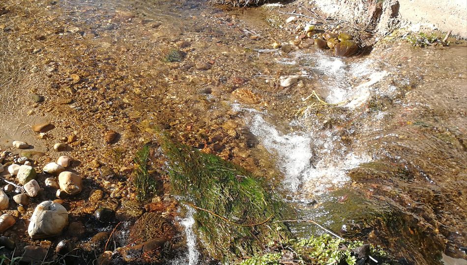 Aspecto de una acequia en la provincia de León / FOTO: CHD