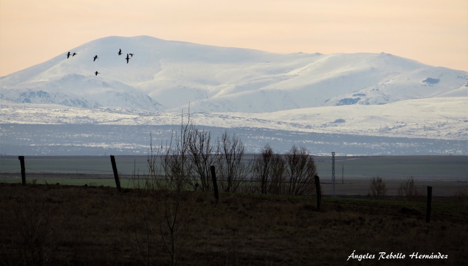 La levedad del mundo