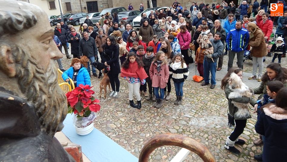 Bendición y subasta de San Antón, en la Plaza Mayor de Ledesma
