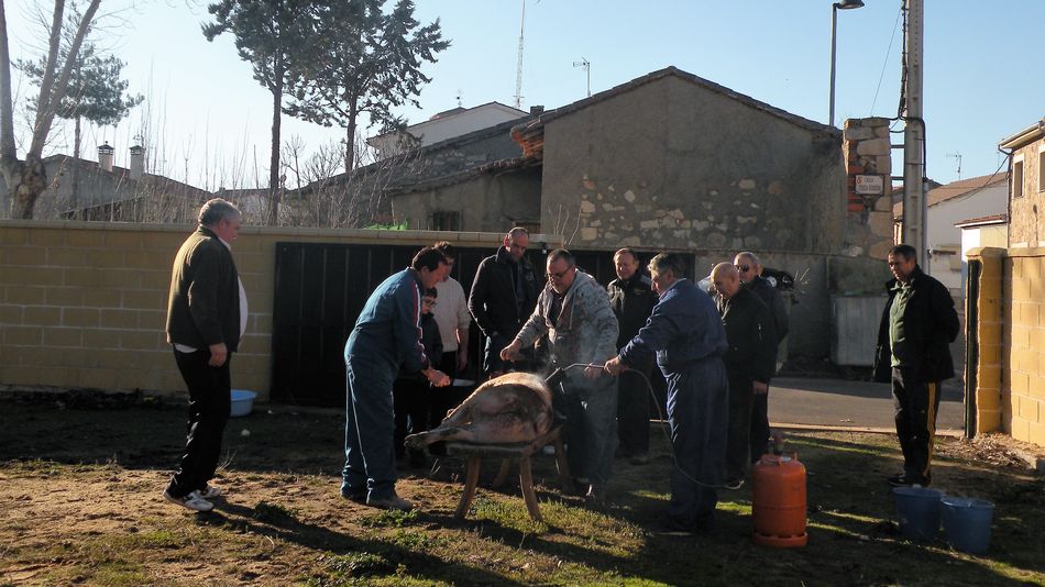 Éxito de las jornadas de la matanza tradicional con más de 150 participantes  