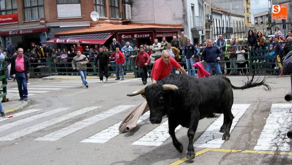 El plazo para la presentación de ofertas será del 29 de enero al 09 de febrero